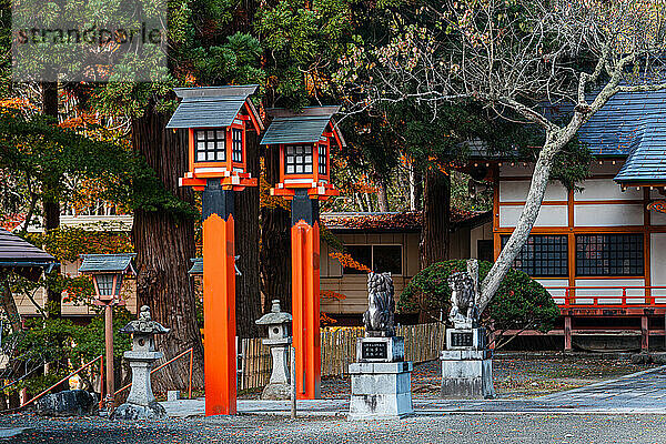 Wunderschöne rote Shinto-Laternen an einem Shinto-Schrein in Nord-Honshu  Japan  Asien