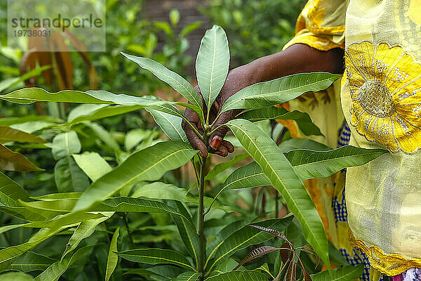 Frau steht in ihrer Gärtnerei im Dorf Notto  Senegal  Westafrika  Afrika