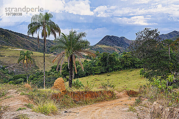 Rote Erde-Straße  Serra da Canastra-Landschaft  Bundesstaat Minas Gerais  Brasilien  Südamerika