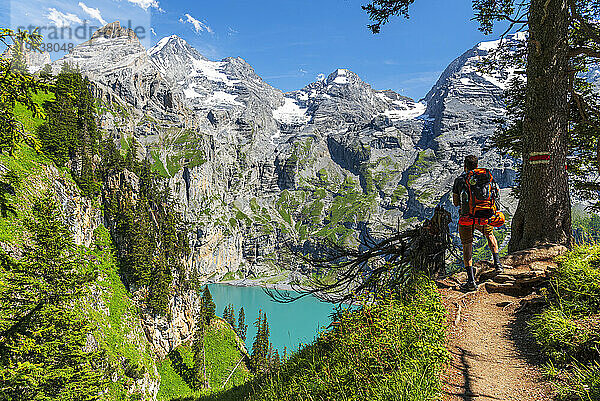 Rückansicht eines Wanderers  der auf dem Weg im Wald rund um den Oeschinensee steht  Oeschinensee  Kandersteg  Kanton Bern  Schweiz  Europa