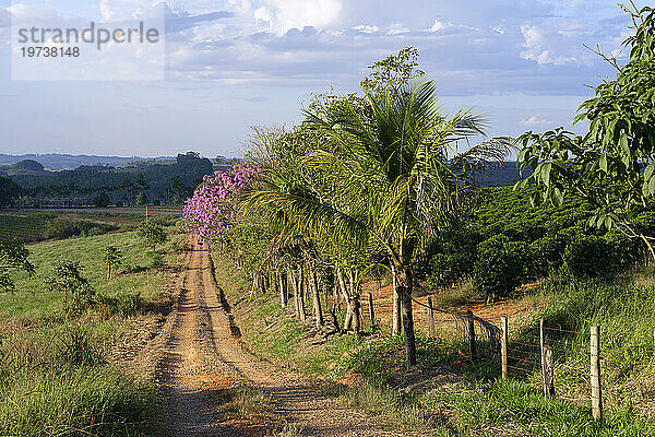 Rote Erde-Straße  Serra da Canastra-Landschaft  Bundesstaat Minas Gerais  Brasilien  Südamerika