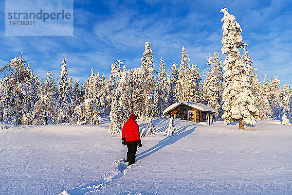 Person steht vor einer isolierten Berghütte zwischen schneebedeckten Bäumen  Schwedisch-Lappland  Norrbotten  Schweden  Skandinavien  Europa