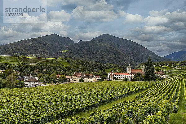 Weinberg rund um das Kloster Neustift  im Sommer. Kloster Neustift  Brixen  Südtirol  Italien  Europa