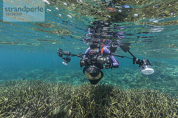 Unterwasserfotograf im kristallklaren Wasser in den flachen Riffen vor der Insel Bangka  vor der Nordostspitze von Sulawesi  Indonesien  Südostasien  Asien