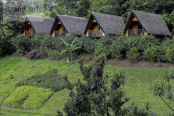 Hotel bungalows  Karongi  Rwanda  Africa