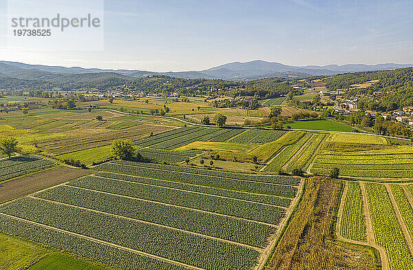 Elevated view of farmland and landscape at Monterchi  Province of Arezzo  Italy  Europe
