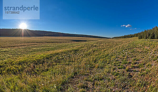 Pleasant Valley bei Sonnenuntergang im Kaibab National Forest nördlich des Grand Canyon North Rim  Arizona  Vereinigte Staaten von Amerika  Nordamerika