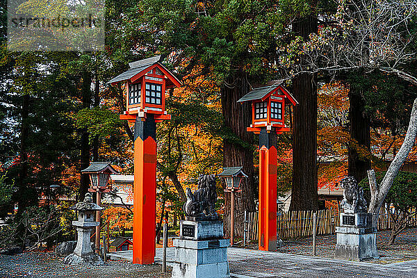 Wunderschöne rote Shinto-Laternen an einem Shinto-Schrein in Nord-Honshu  Japan  Asien