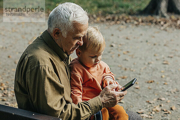 Großvater zeigt Enkel im Park Smartphone