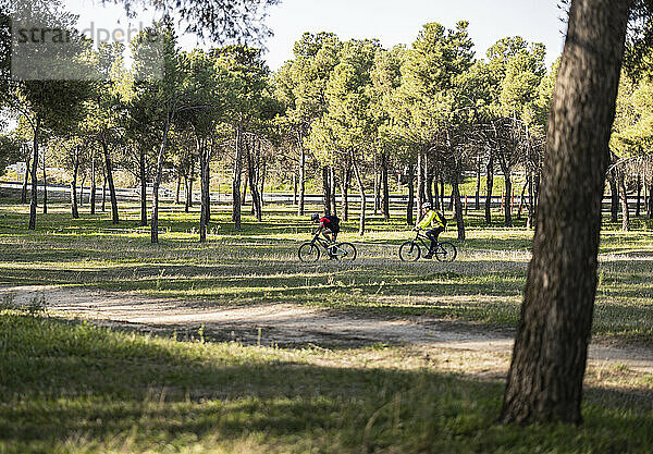 Freunde fahren mit dem Fahrrad im Wald in der Nähe von Bäumen