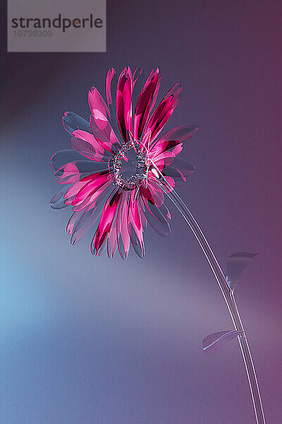 3D render of pink glass flower