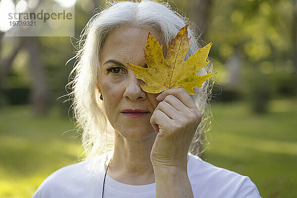 Reife Frau bedeckt Gesicht mit Ahornblatt im Herbstpark