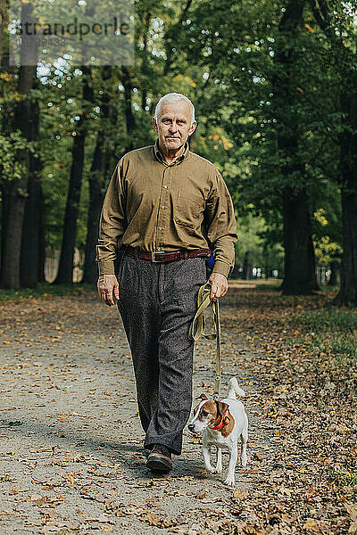 Älterer Mann geht mit Jack-Russell-Terrier-Hund im Park spazieren