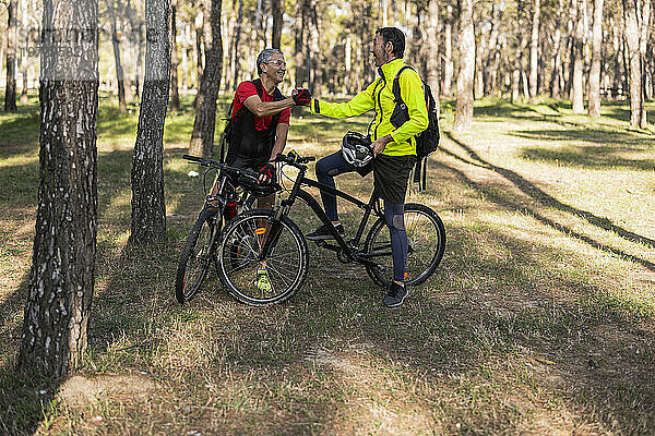 Ältere Freunde mit Fahrrädern halten Händchen und unterhalten sich an sonnigen Tagen im Wald