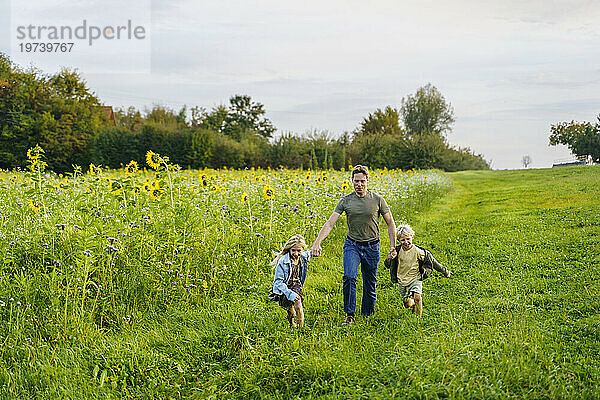Glücklicher Vater hält Händchen und rennt mit Kindern im Sonnenblumenfeld