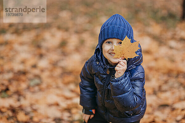 Cute boy holding maple leaf near face at autumn park