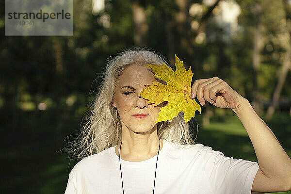 Mature woman holding maple leaf over face at park