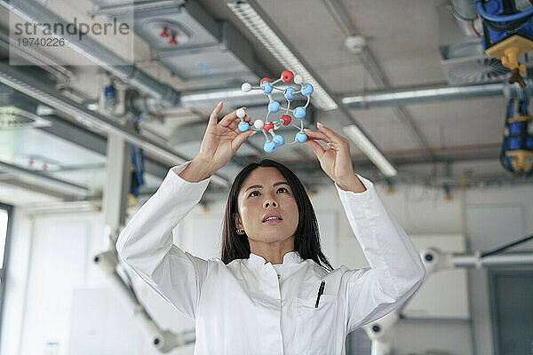 Wissenschaftler untersuchen molekulare Struktur im Labor
