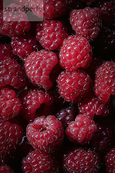 Full frame of ripe raspberries