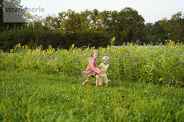 Glückliche Schwester und Bruder  die im Sonnenblumenfeld laufen
