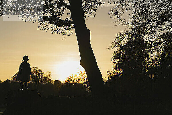 Silhouette eines Mädchens  das bei Sonnenuntergang unter einem Baum steht