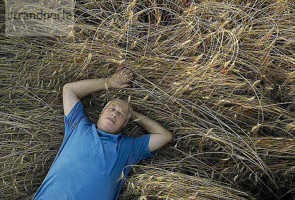 Senior man lying in wheat field