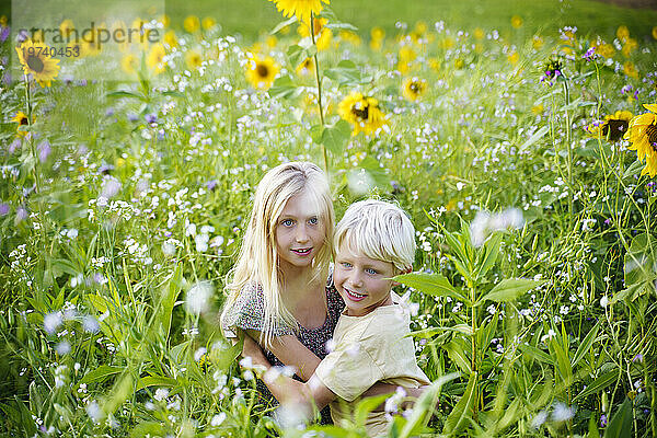 Glücklicher Bruder und Schwester im Sonnenblumenfeld