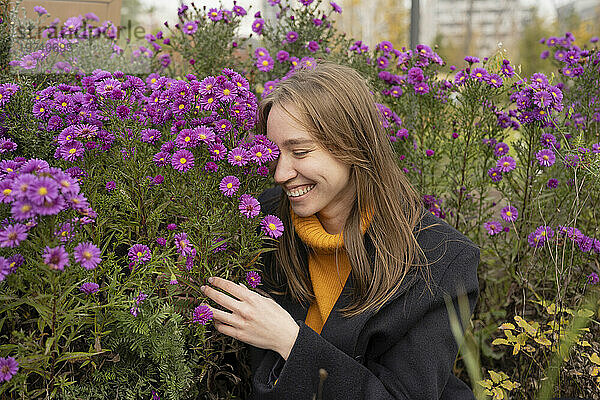 Glückliche Frau in der Nähe von Asterblumen im Park