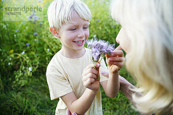 Lächelnder Enkel blickt mit Großmutter auf dem Feld auf die Blume