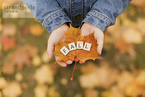 Boy holding wooden fall letters on leaf in hand at autumn park