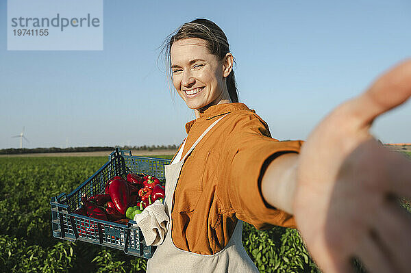 Glücklicher Bauer macht ein Selfie und hält eine Kiste Paprika auf dem Feld