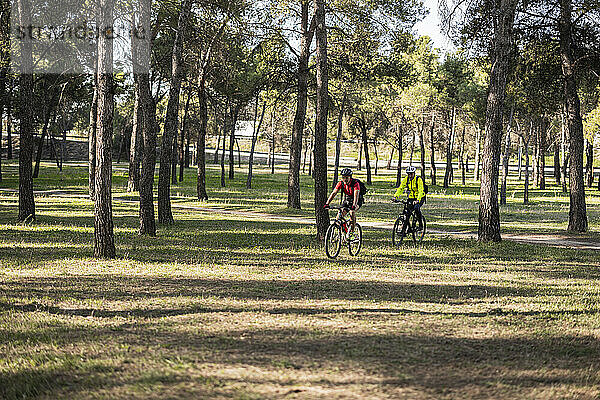 Männer fahren an sonnigen Tagen mit dem Fahrrad im Wald