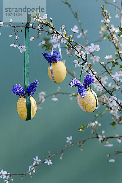 Easter eggs hanging from blossoming branches