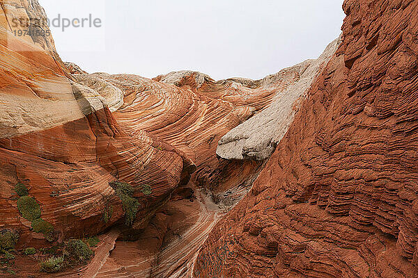 Malerische Aussicht auf Felsformationen und steile Klippen mit wirbelnden Mustern unter einem bewölkten Himmel  die Teil der fremden Landschaft mit erstaunlichen Linien  Konturen und Formen in der wundersamen Gegend namens White Pocket in Arizona sind; Arizona  Vereinigte Staaten von Amerika