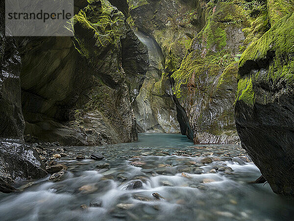 Versteckter Bach im Mount Aspiring Nationalpark.; Haast  Südinsel  Neuseeland