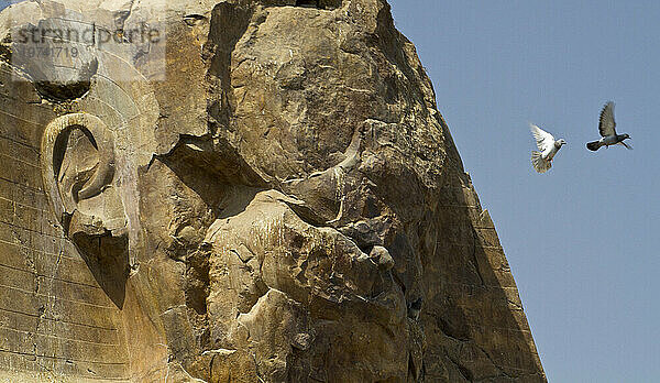 Erodiertes Gesicht des Kopfes des Koloss von Memnon; Luxor  Ägypten