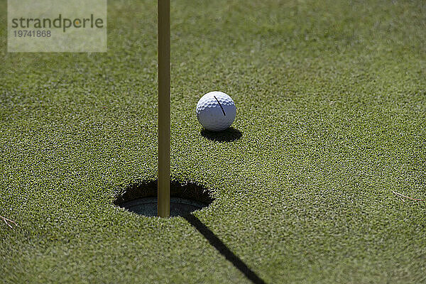 Fast geschafft  der Golfball in der Nähe der Markierung und nur ein kurzer Putt; Olympia  Washington  Vereinigte Staaten von Amerika