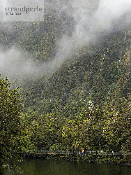 Wanderer überquert im Morgennebel die Clinton-River-Brücke entlang des Milford Track; Milford Sound  Südinsel  Neuseeland