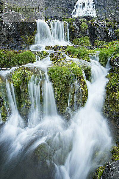 Zwei kleine Wasserfälle und der größere Dynjandi-Wasserfall im Hintergrund; Island