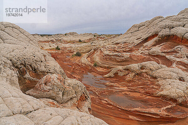 Malerische Aussicht auf Felsformationen unter einem bewölkten Himmel  die Teil der fremden Landschaft mit erstaunlichen Linien  Konturen und Formen in der wundersamen Gegend namens White Pocket in Arizona sind; Arizona  Vereinigte Staaten von Amerika