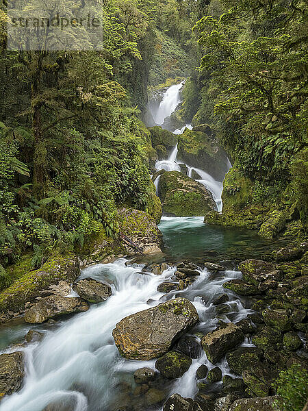 Mackay Falls in der Nähe von Meile 26 des Milford Track; Milford Sound  Südinsel  Neuseeland