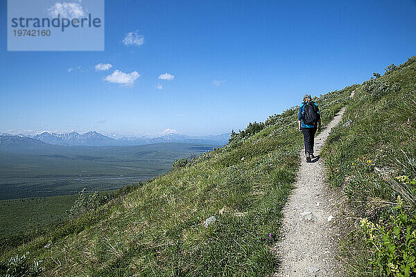 Blick von hinten auf eine reife Wanderin auf dem Savage Alpine Trail mit Blick auf den Mt. Denali an einem klaren Tag im Denali-Nationalpark; Denali-Nationalpark  Alaska  Vereinigte Staaten von Amerika