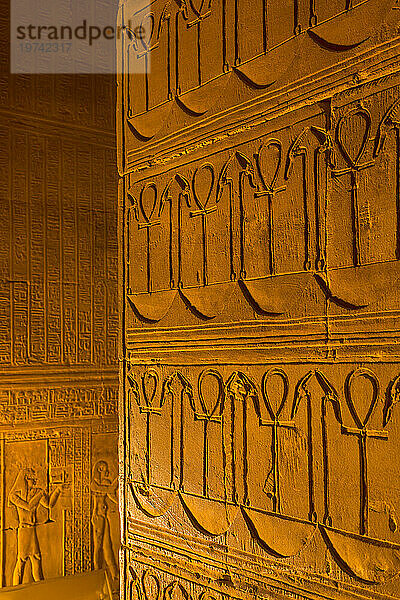 Nahaufnahme des Hieroglyphen-Basreliefs an den Wänden im Horus-Tempel in goldenem Licht; Edfu  Ägypten  Nordafrika