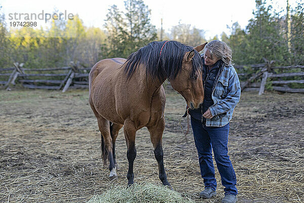 Eine Bäuerin kümmert sich um einen Braunen und ein Pferd (Equus ferus caballus) auf ihrer Farm  sie stehen zusammen im Gehege  Kara's Animals in Beckwith; Ottawa Valley  Ontario  Kanada