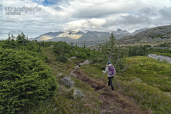 Blick von hinten auf eine Frau  die neben einem Bach entlang des International Falls Trail geht  einer der großartigsten Wanderungen im Yukon-Gebiet; Yukon  Kanada