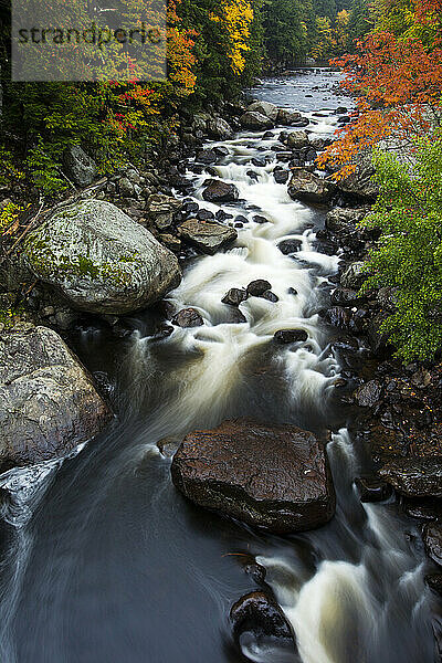 Schnell fließender westlicher Zweig des Ausable River im Adirondack Park  New York  USA; New York  Vereinigte Staaten von Amerika