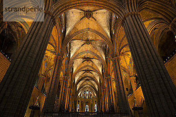 Blick auf die Säulen und die gewölbte Decke der Kathedrale von Barcelona; Barcelona  ??Spanien