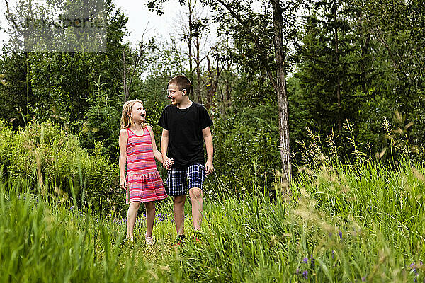 Junger Bruder und Schwester gehen Händchen haltend gemeinsam durch einen Wald; Edmonton  Alberta  Kanada