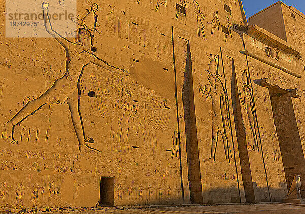 Nahaufnahme des Basreliefs am beeindruckenden Eingangspylon des Horus-Tempels im goldenen Licht; Edfu  Ägypten  Nordafrika