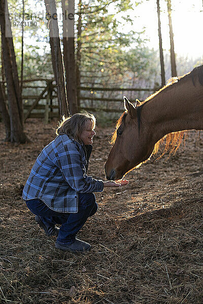 Eine Bäuerin kümmert sich auf ihrer Farm um ein braunes Pferd (Equus ferus caballus)  Kara's Animals in Beckwith; Ottawa Valley  Ontario  Kanada